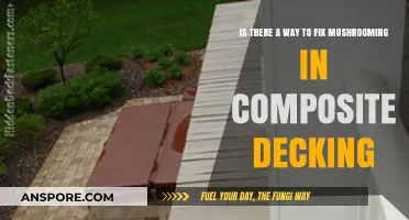 Preventing Mushrooming in Composite Decking: Effective Solutions and Maintenance Tips
