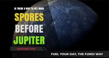 Early Access to Nano Spores: Strategies Before Jupiter Missions