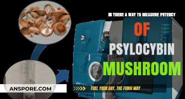 Measuring Psylocybin Potency: Accurate Methods for Mushroom Strength Assessment
