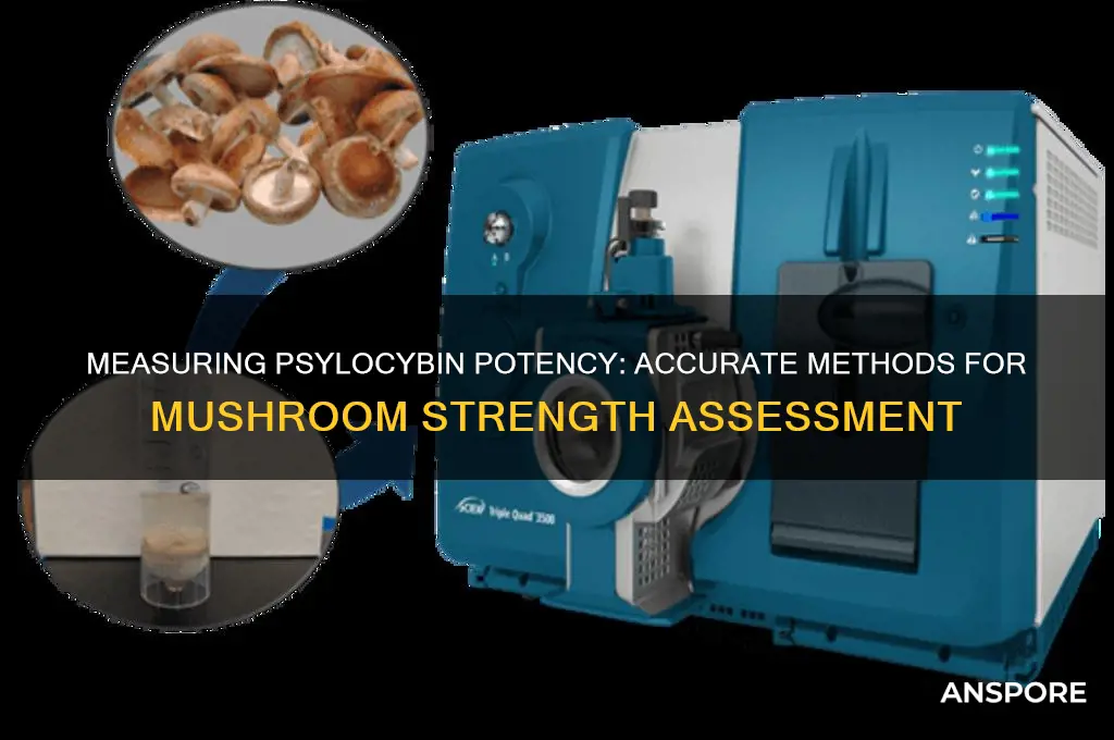 is there a way to measure potency of psylocybin mushrooms