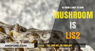 Preserving Mushrooms in Lis2: Tips and Tricks for Longevity