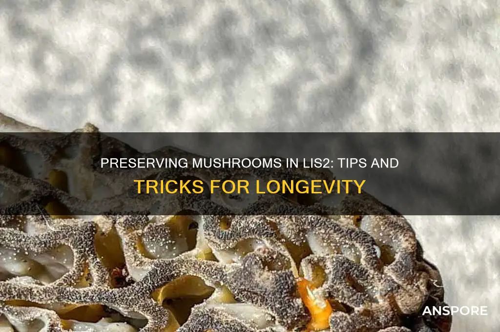 is there a way to save mushroom is lis2