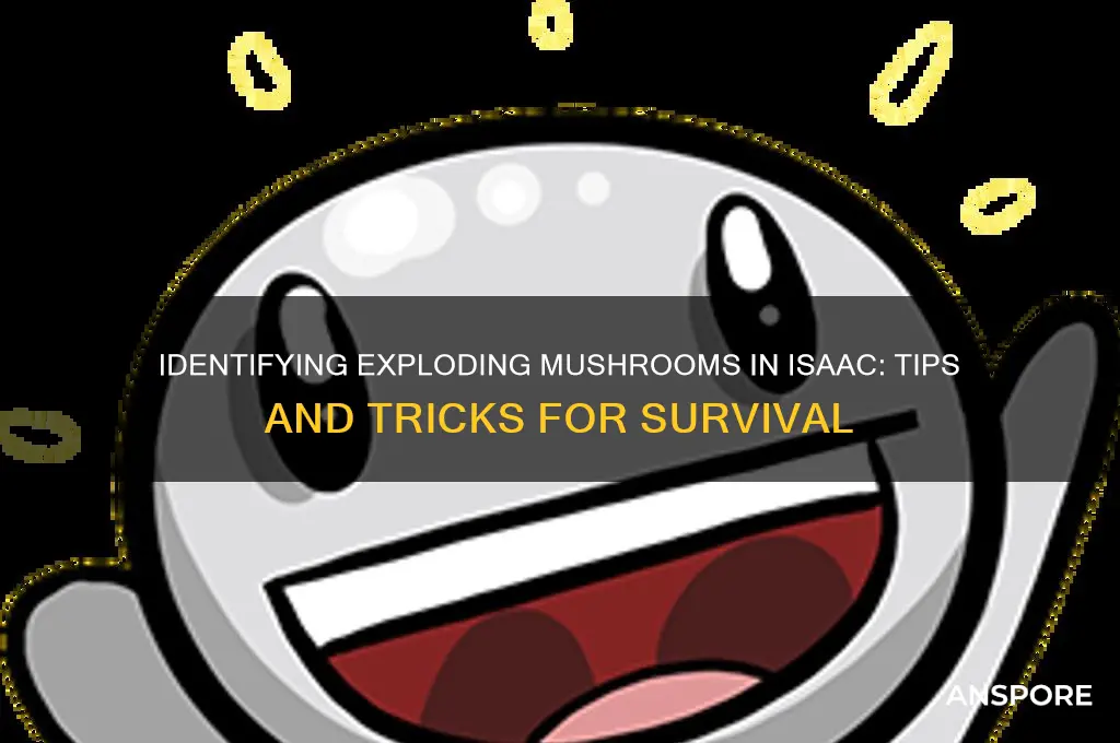 is there a way to tell which mushrooms explode isaac