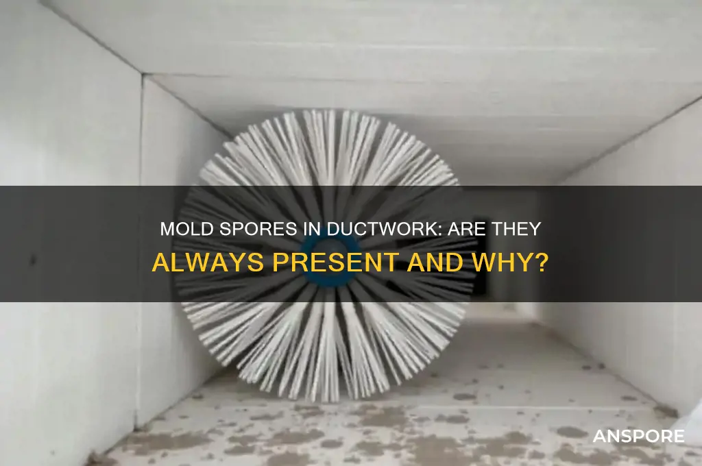is there always mold spores in ductwork