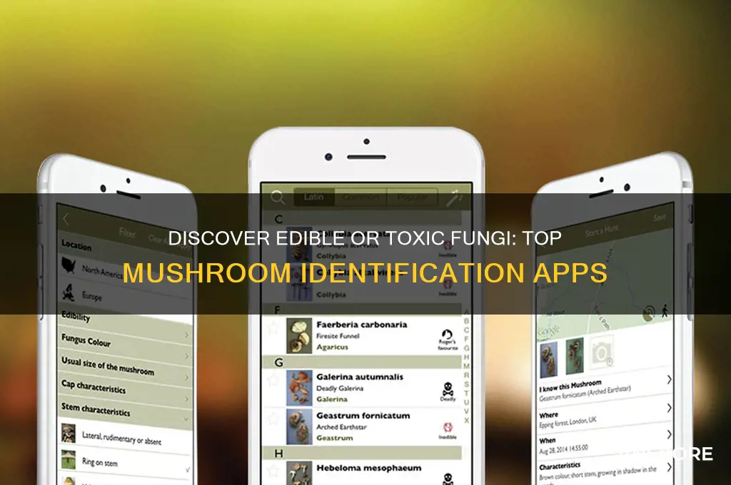 is there an app for identifying mushrooms