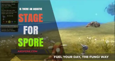 Exploring Spore's Aquatic Stage: Myth or Hidden Gameplay Feature?