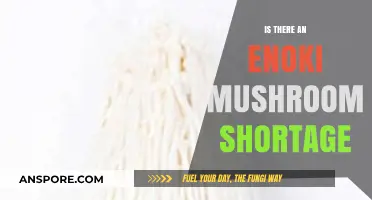 Enoki Mushroom Shortage: Causes, Impact, and What You Need to Know