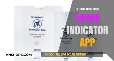 Outdoor Spore Indicator Apps: Do They Exist and Are They Reliable?