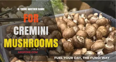 Cremini Mushrooms: Unveiling Their Alternative Names and Culinary Uses