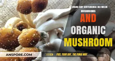 Mushrooms vs. Organic Mushrooms: Uncovering the Key Differences