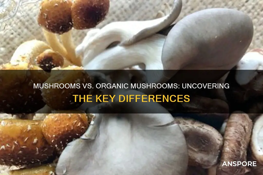 is there any difference between mushrooms and organic mushrooms