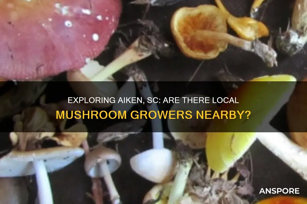 is there any mushroom growers in aiken south carolina
