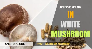 White Mushrooms Nutritional Value: Uncovering Their Hidden Health Benefits