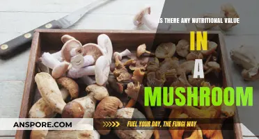 Mushrooms Unveiled: Exploring Their Nutritional Value and Health Benefits