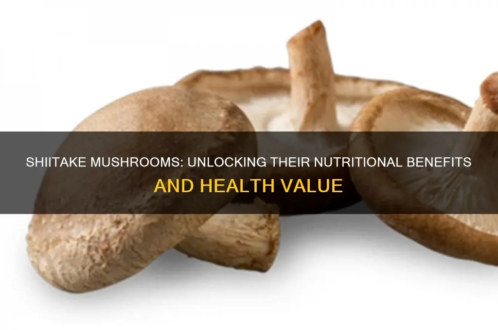 is there any nutritional value to shiitake mushrooms