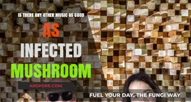 Exploring Psytrance: Can Any Artist Match Infected Mushroom's Mastery?