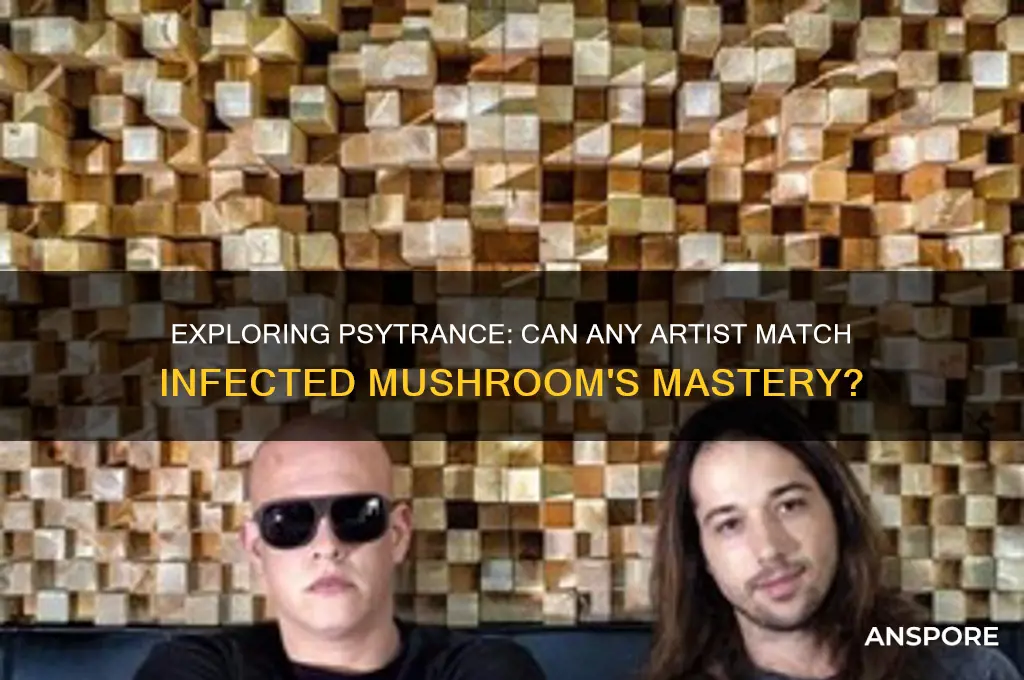 is there any other music as good as infected mushroom