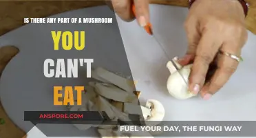 Can You Eat Every Part of a Mushroom? A Tasty Truth