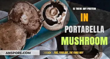 Portabella Mushrooms: Unveiling Their Surprising Protein Content and Benefits