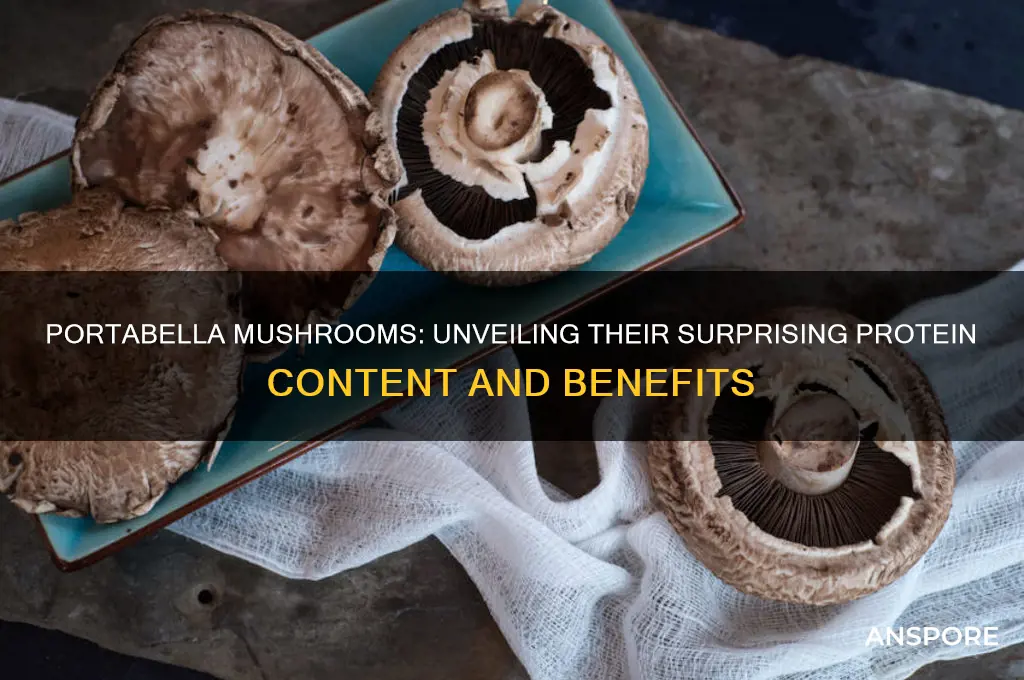 is there any protein in portabella mushrooms