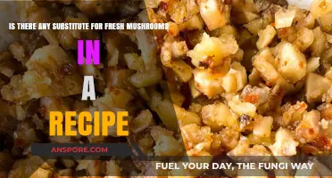 Fresh Mushrooms Unavailable? Discover Tasty Recipe Substitutes for Your Dish