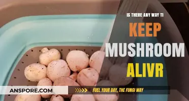 How to Keep Mushrooms Alive: Tips for Longevity and Freshness
