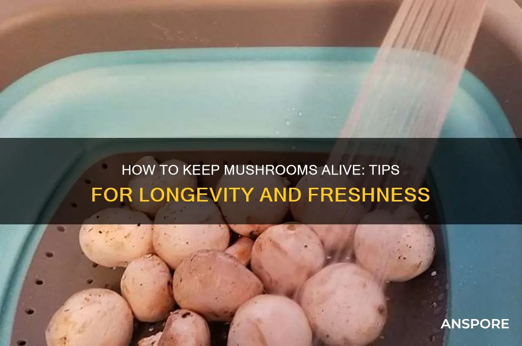 is there any way ti keep mushroom alivr