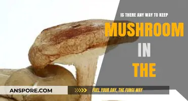 How to Store Mushrooms: Freshness Tips and Preservation Methods