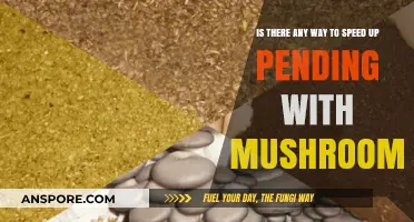 Can Mushrooms Accelerate Pending Processes? Exploring Natural Solutions