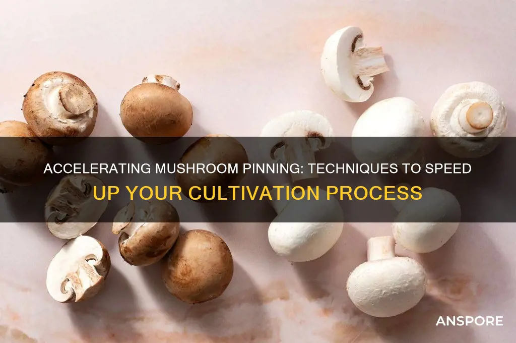 is there any way to speed up pinning with mushrooms