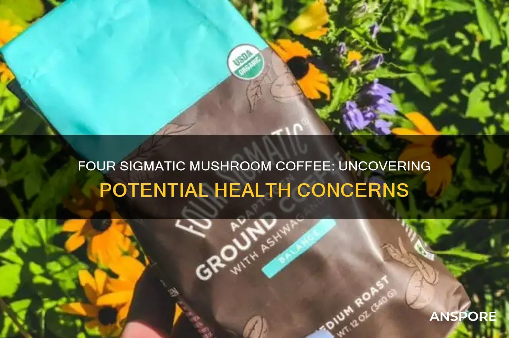 is there anything bad in four sigmatic mushroom coffee