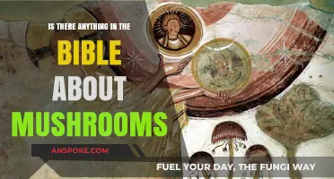 Biblical Mushrooms: Exploring Fungal References in Sacred Scriptures