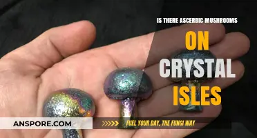 Exploring Crystal Isles: Are There Ascorbic Mushrooms in This ARK Map?