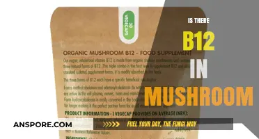 Mushrooms and B12: What's the Deal?