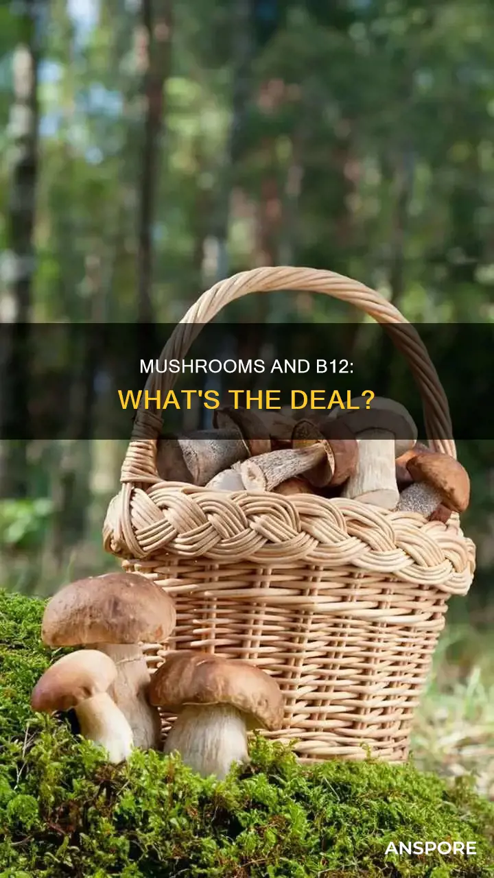 is there b12 in mushrooms