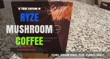 Does Ryze Mushroom Coffee Contain Caffeine? Unveiling the Truth