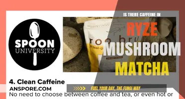 Ryze Mushroom Matcha: Does It Contain Caffeine? Find Out Here