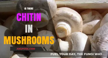 Chitin in Mushrooms: What's the Deal?