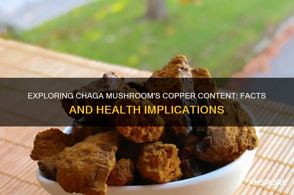 is there copper in chaga mushroom