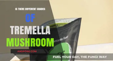 Exploring Tremella Mushroom Grades: Quality, Benefits, and Varieties