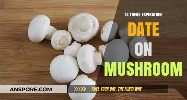 Do Mushrooms Expire? Understanding Shelf Life and Safety Tips