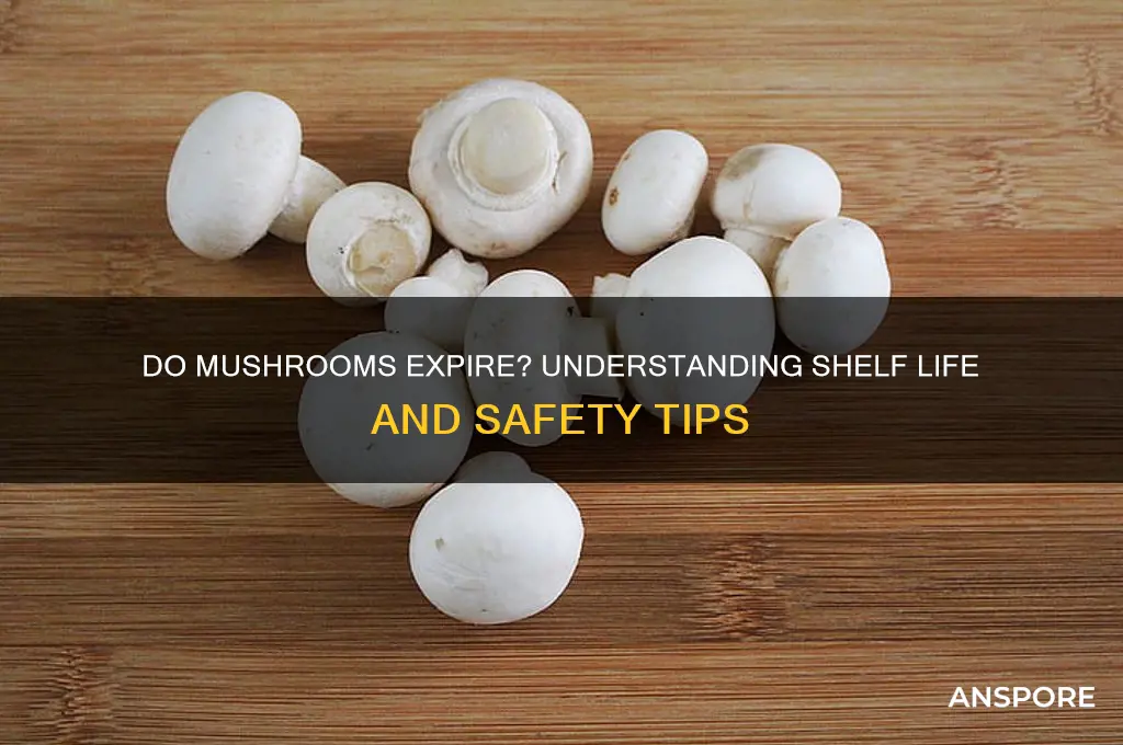 is there expiration date on mushrooms