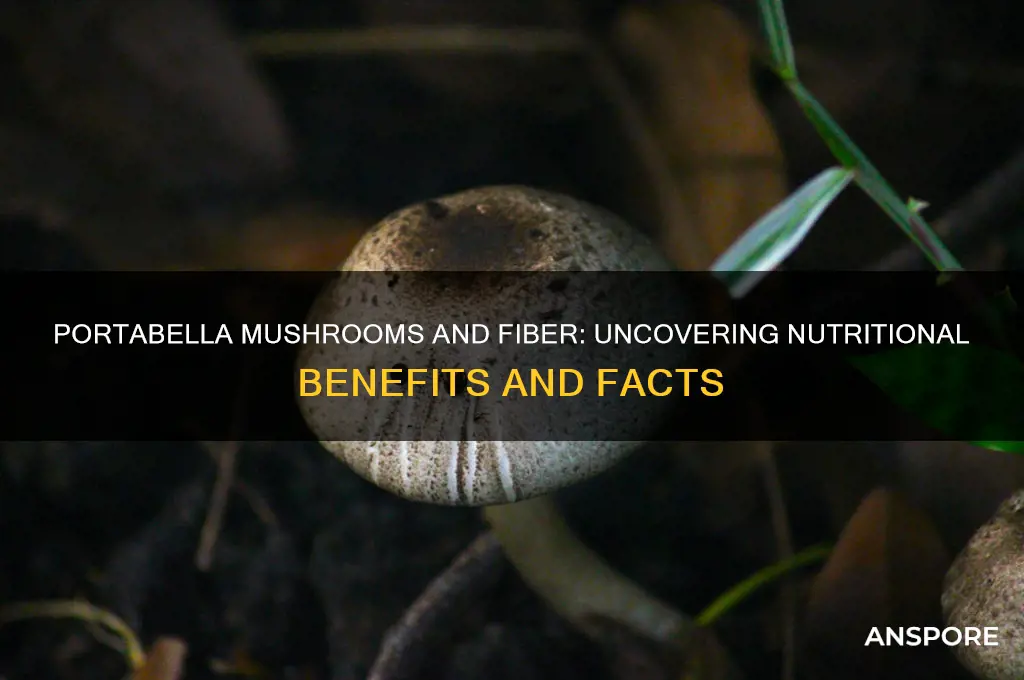 is there fiber in portabella mushrooms