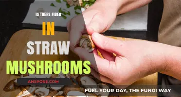 Straw Mushrooms and Fiber: Uncovering Nutritional Benefits and Facts
