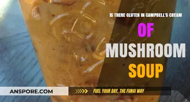 Does Campbell's Cream of Mushroom Soup Contain Gluten? Find Out!
