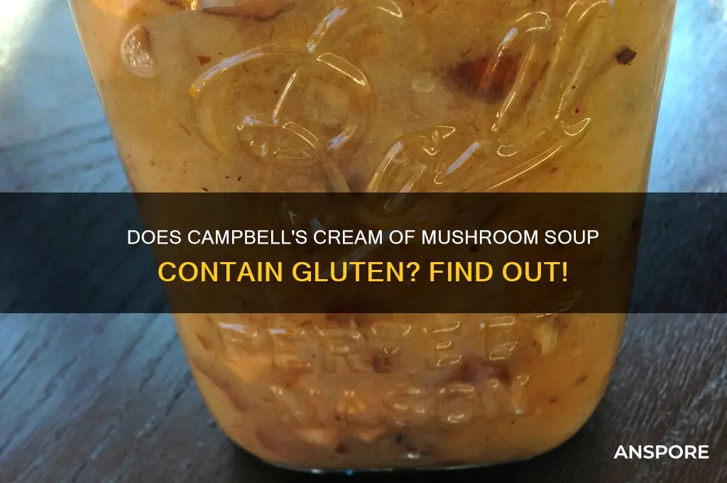 is there gluten in campbell