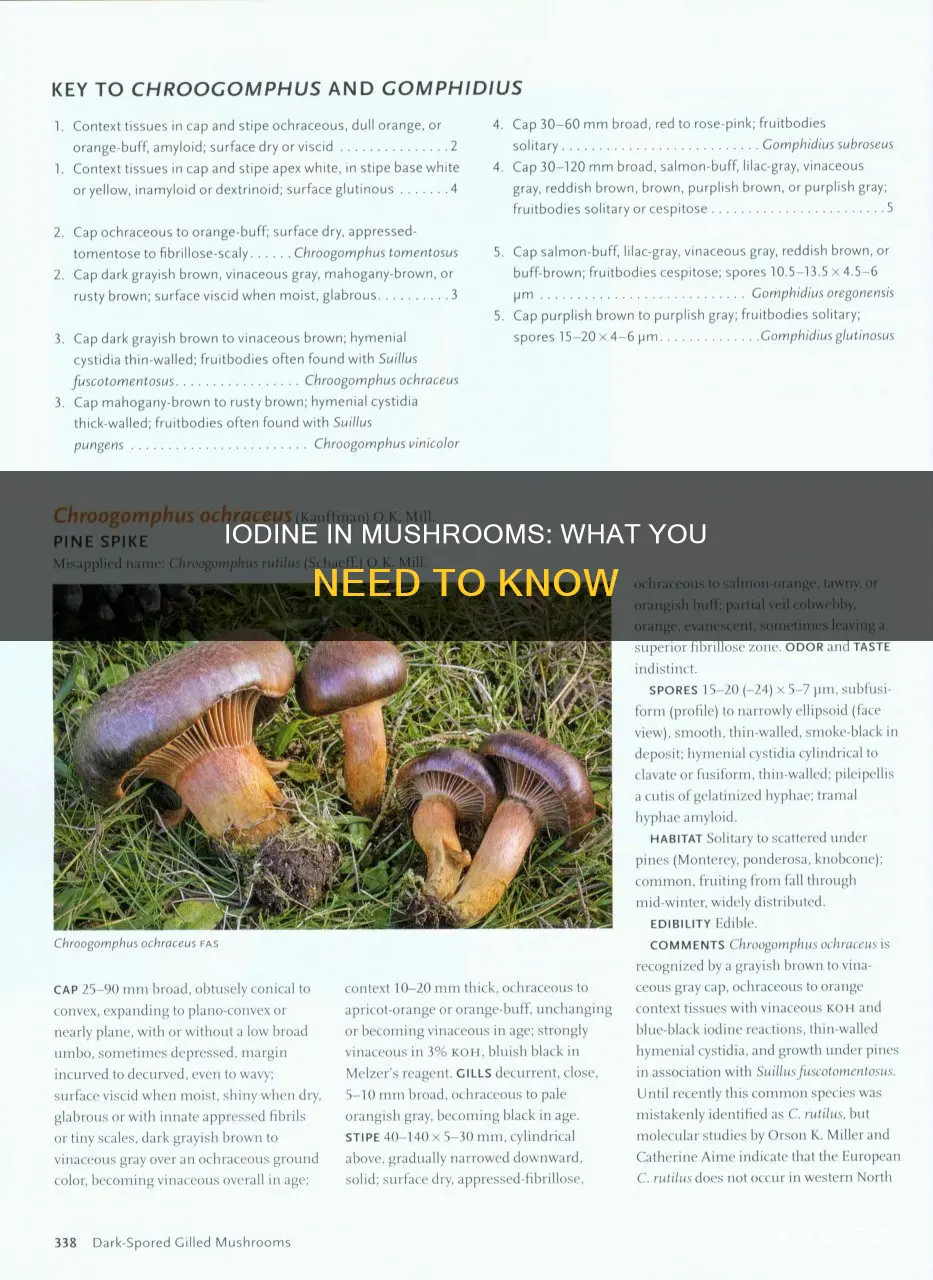 is there iodine in mushrooms