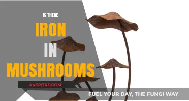 Mushrooms: A Rich Source of Iron?