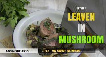 Are Mushrooms Leavened?