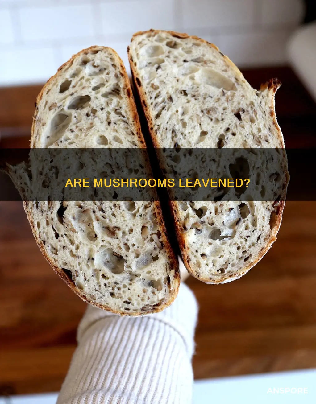 is there leaven in mushrooms